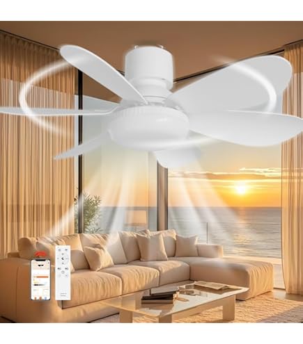 2026業界初❣️花感モデル シーリングファンライト LED 8-10畳 49㎝ Amazon.co.jp : 【2026発売モデル】シーリングファンライト LED ファン